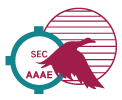 SEC-AAAE